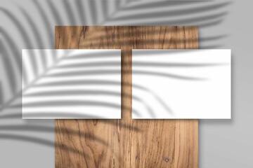 Illustration of shadows of plants on a background with blank abstract frames with copy space