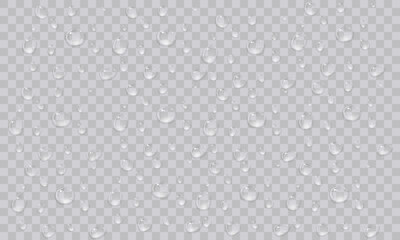 Obrazy na Plexi  Vector water droplets. Droplets, condensation on glass, on various surfaces. Realistic droplets on a transparent isolated background. PNG.