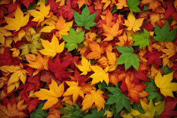 Colorful autumn leaves background. Red, yellow, orange and green leaves.