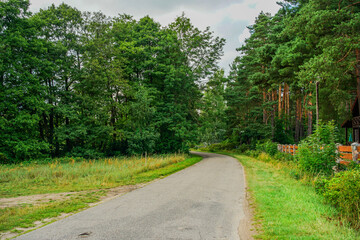 Fototapeta na wymiar Empty road with green trees to the forest in the morning, countryside landscape