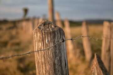 Closeup of an old wooden fence with wires in a field under the sunlight with a blurry background