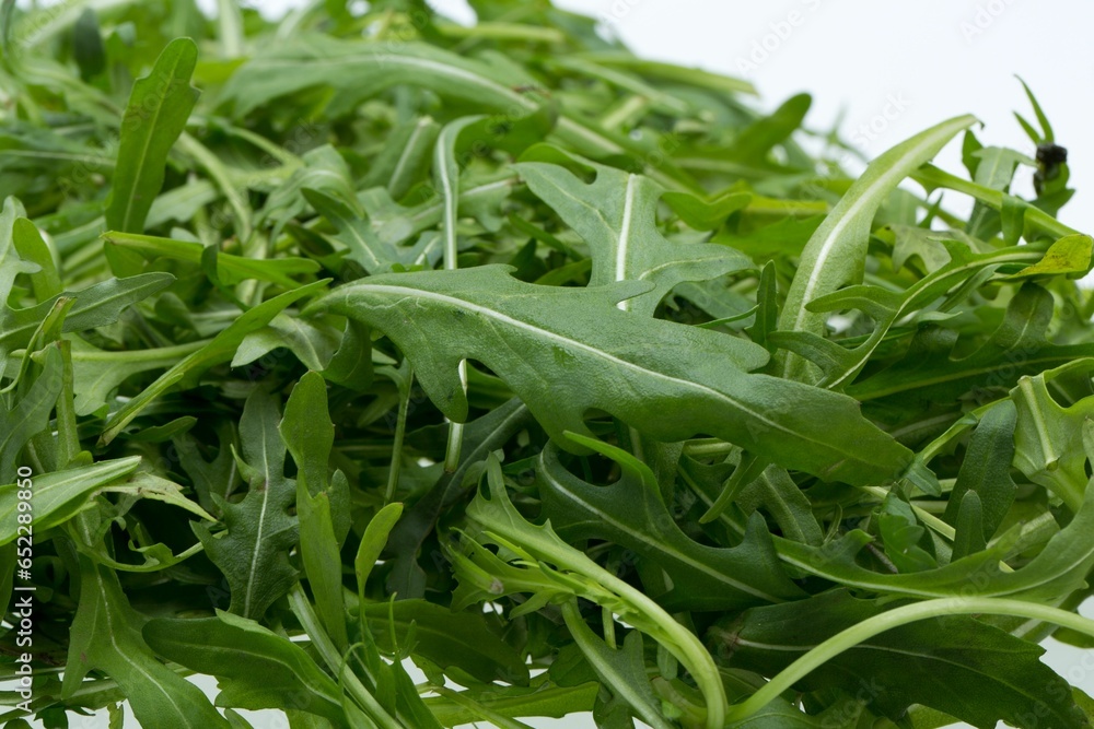 Wall mural Heap of fresh ruccola leaves