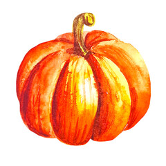 Orange watercolor pumpkin isolated on white hand drawn clipart