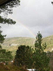 a rainbow is in the sky over some trees and land