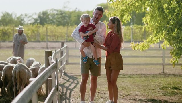 Cheerful happy beautiful family with baby walking by the farm fence, visiting the ranch with sheep in the nature