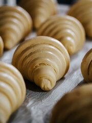 Raw croissant preparations before baking in a bakery close-up