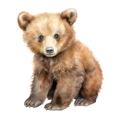 Cute bear watercolor illustration. PNG. Ai generated illustration. - 652301866