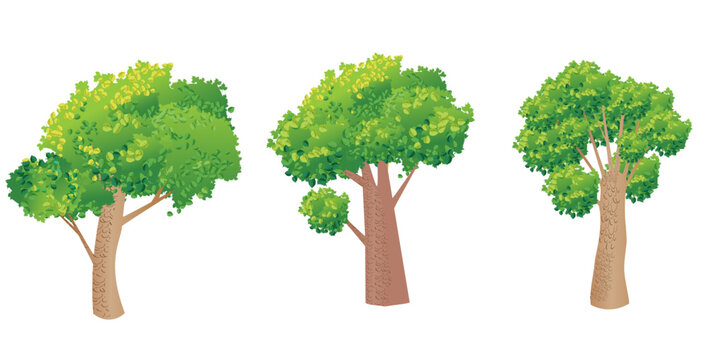 Beautiful set of cartoon trees isolated on white background. Vector illustration.