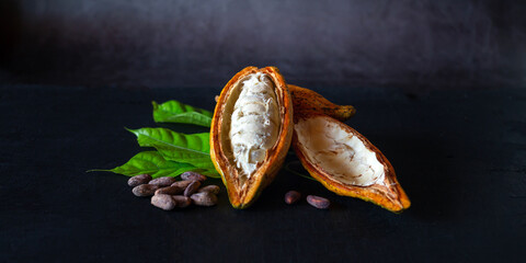 Half Ripe cacao pods and yellow cocoa fruit with brown dry cocoa beans on black wooden background