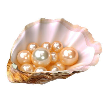  Golden pearls in golden oyster shell on transparent background