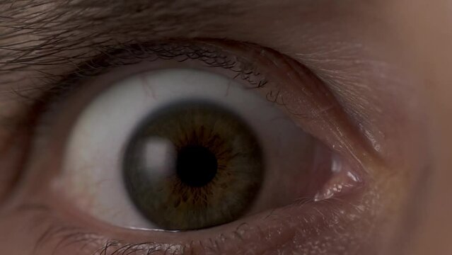Man Eye Opens Slow Motion, Extreme Close Up. Pupil of Eye Narrowing in Response to Light