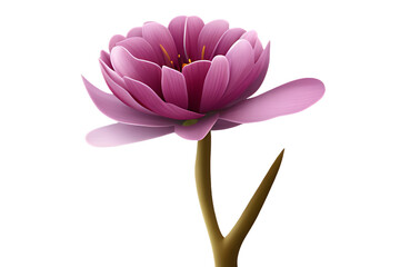 Fototapeta premium pink lotus isolated on white,clear image generative ai