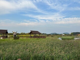 Photo of natural scenery with green forests, parks, and animals