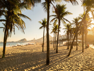 Sunset view of Leme and Copacabana beach with coconut trees in Rio de Janeiro Brazil