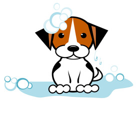 Puppy after taking a bath with soap suds
