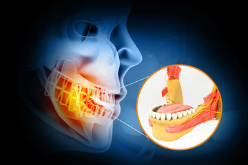 Anatomy of Maxilla and Mandible dental structure. 3d illustration.. © Crystal light