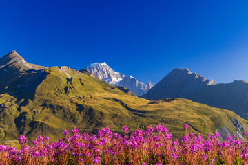 Landscape near Col du Petit-Saint-Bernard with Mont Blanc, on border France and Italy - obrazy, fototapety, plakaty