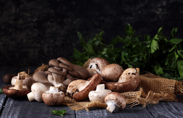 natural organic mushrooms for vegetarian food