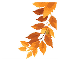 vector illustration of leaves on begie colored twigs ornament for wedding invitations, greeting cards etc