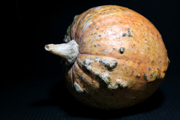 Zucca di halloween