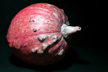 Zucca di halloween
