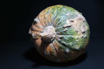 Zucca di halloween