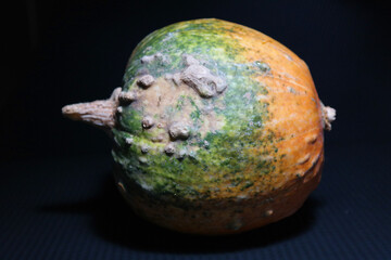 Zucca di halloween