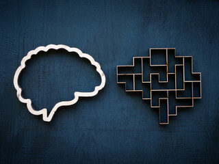 A wooden brain and one in the form of puzzle as a symbol of logic and emotional intelligence.