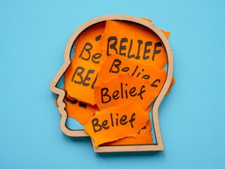 Bias concept. The outline of head is filled with pieces of paper with the inscription Belief.