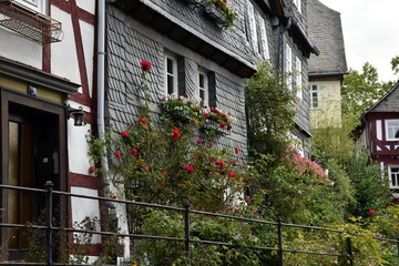 Fototapeta na wymiar Malerische Häuser und Vorgärten in Marburg
