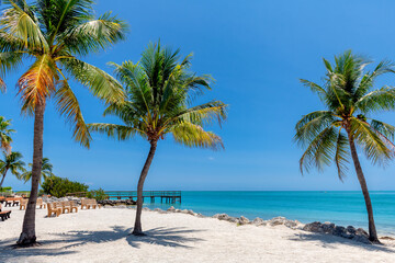 Palm trees on beautiful beach in tropical island, Key Largo. Florida - obrazy, fototapety, plakaty