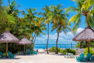 Palm trees and umbrellas in beautiful beach in tropical island resort, Key Largo. Florida - obrazy, fototapety, plakaty