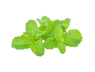 mint leaf transparent png