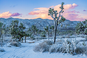 winter desert landscape with snow during sunset - obrazy, fototapety, plakaty