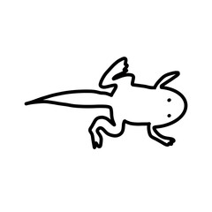 Obraz premium Tadpole amphibian reptile animal 