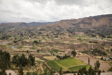 Fototapeta na wymiar Reise durch Südamerika, Peru. Wandern im Colca Canyon entlang des Rio Colca.