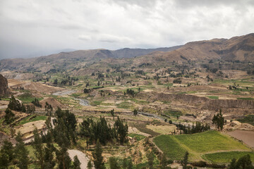 Fototapeta premium Reise durch Südamerika, Peru. Wandern im Colca Canyon entlang des Rio Colca.