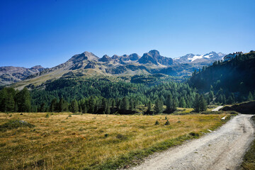 Wanderweg mit Bergpanorama und Blick auf den Schranspitz in Südtirol