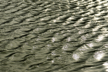 Water waves on the fish pond due to the wind. Water background texture 