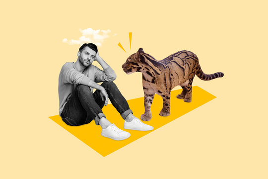 Collage portrait of tiger calming comforting black white colors unsatisfied depressed guy isolated on beige background