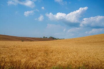 Fototapeta na wymiar Rural landscape on the hills of Orciano Pisano, Tuscany