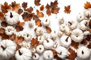 Obraz na płótnie Canvas white pumpkin and autumn leaves