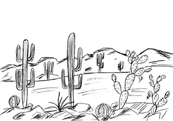 Cacti in the desert - graphic image