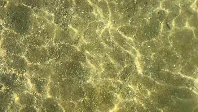 Sun rays on sandy bottom caustic