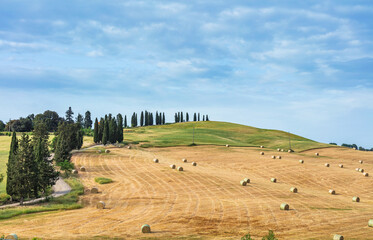 Tuscany rural landscape. Countryside farm, cypresses trees, field, sun light and cloud. Italy