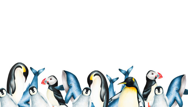 Watercolor border with king penguin family, blue whales isolated on white background. Hand painting realistic Arctic and Antarctic ocean mammals. For designers, decoration, postcards, wrapping paper