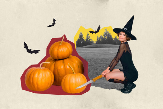 Creative trend collage of beautiful attractive female squit witch hold knife cutting pumpkins pile serial killer magazine sketch advert