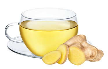 Cup of ginger tea isolated on white or transparent background. Herbal hot drink with ginger root.