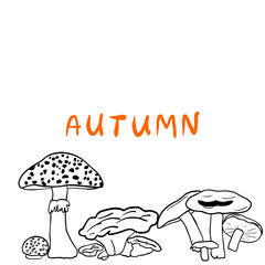 Set of flat black and white mushrooms, on an autumn theme 