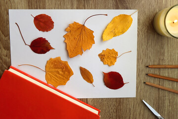 Paper with pressed colorful leaves, book, scissors, pencils, picture frame, scented candle and...